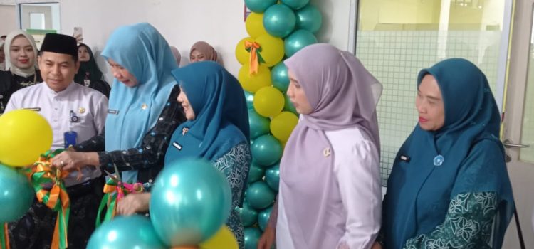 Peresmian Poliklinik Stunting UPTD. RSUD Puri Husada Tembilahan